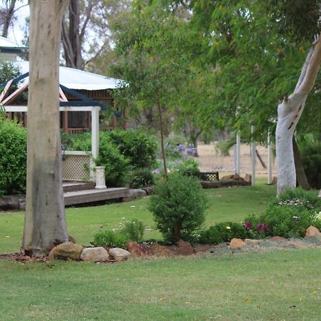 Rosebank Homestead And Farmstay Dalby Exteriör bild