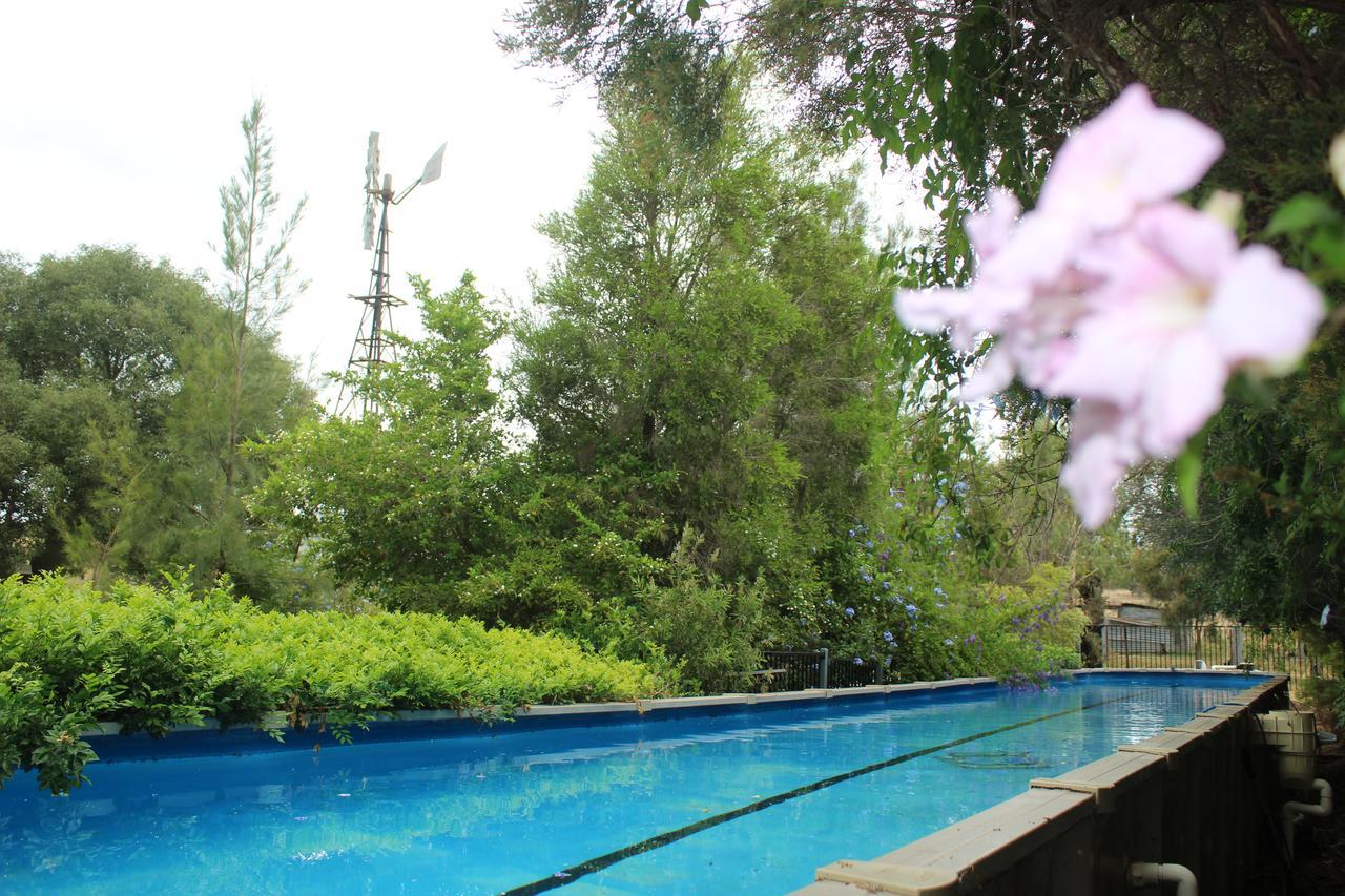 Rosebank Homestead And Farmstay Dalby Exteriör bild
